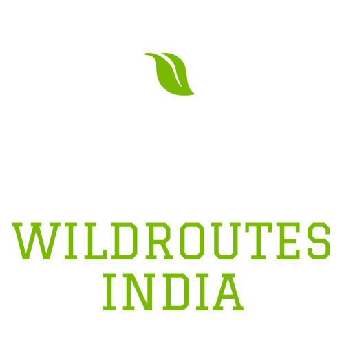 Wild Routes India