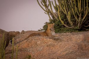 cfdcf777-05fe-4435-9b5f-004653ddba2a